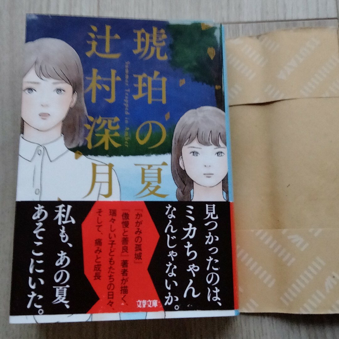 琥珀の夏 エンタメ/ホビーの本(文学/小説)の商品写真