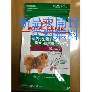 ロイヤルカナン(ROYAL CANIN)のロイヤルカナン ミニ インドア アダルト 800g 新品未使用(ペットフード)