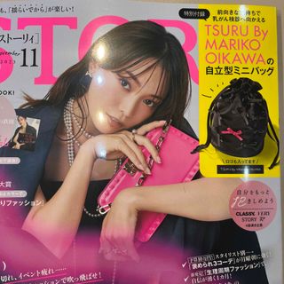 ツルバイマリコオイカワ(TSURU by Mariko Oikawa)のストーリー 11月号 付録(ハンドバッグ)