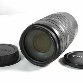 CANON ZOOM LENS EF mm .6の通販 点以上   フリマアプリ