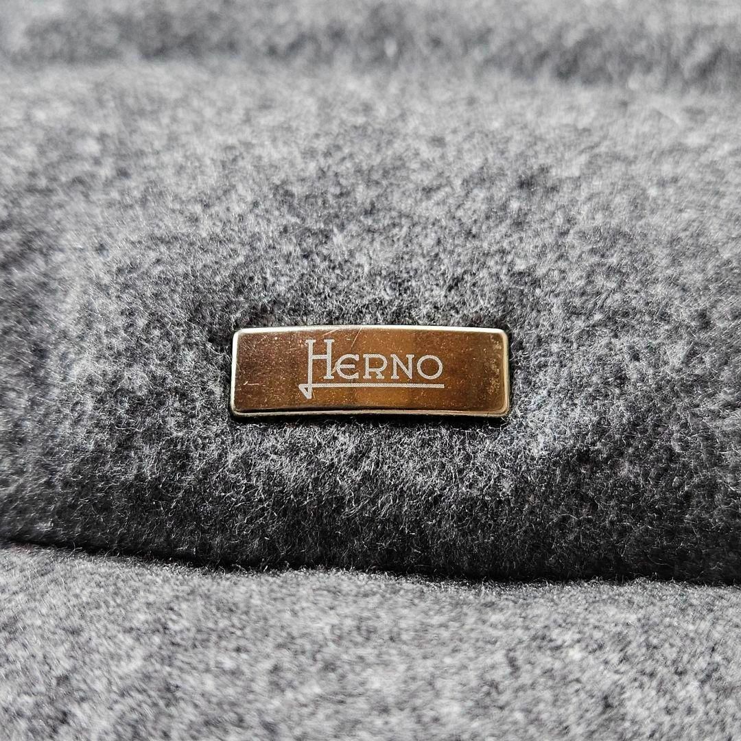 HERNO(ヘルノ)の【極美品】ヘルノ　カシミヤ　シルク　ファー　ダウン　袖ファー レディースのジャケット/アウター(ダウンジャケット)の商品写真