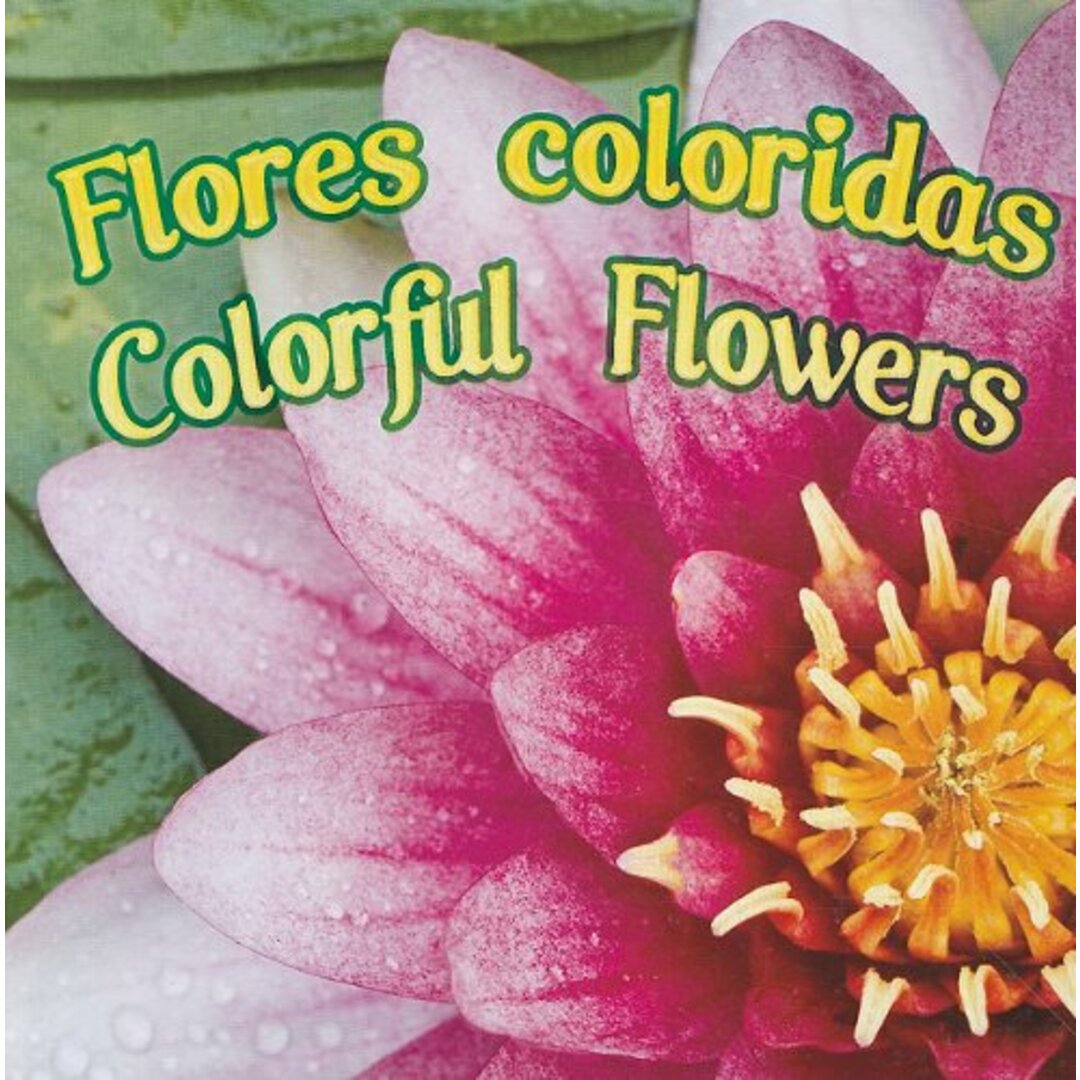 Flores coloridas / Colorful Flowers/Rourke Pub Group/Rourke Publishing