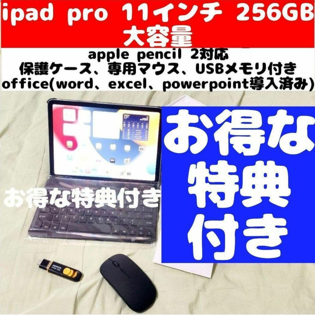IPAD PRO 11インチ 258GB マウス、USBメモリ、キーボード