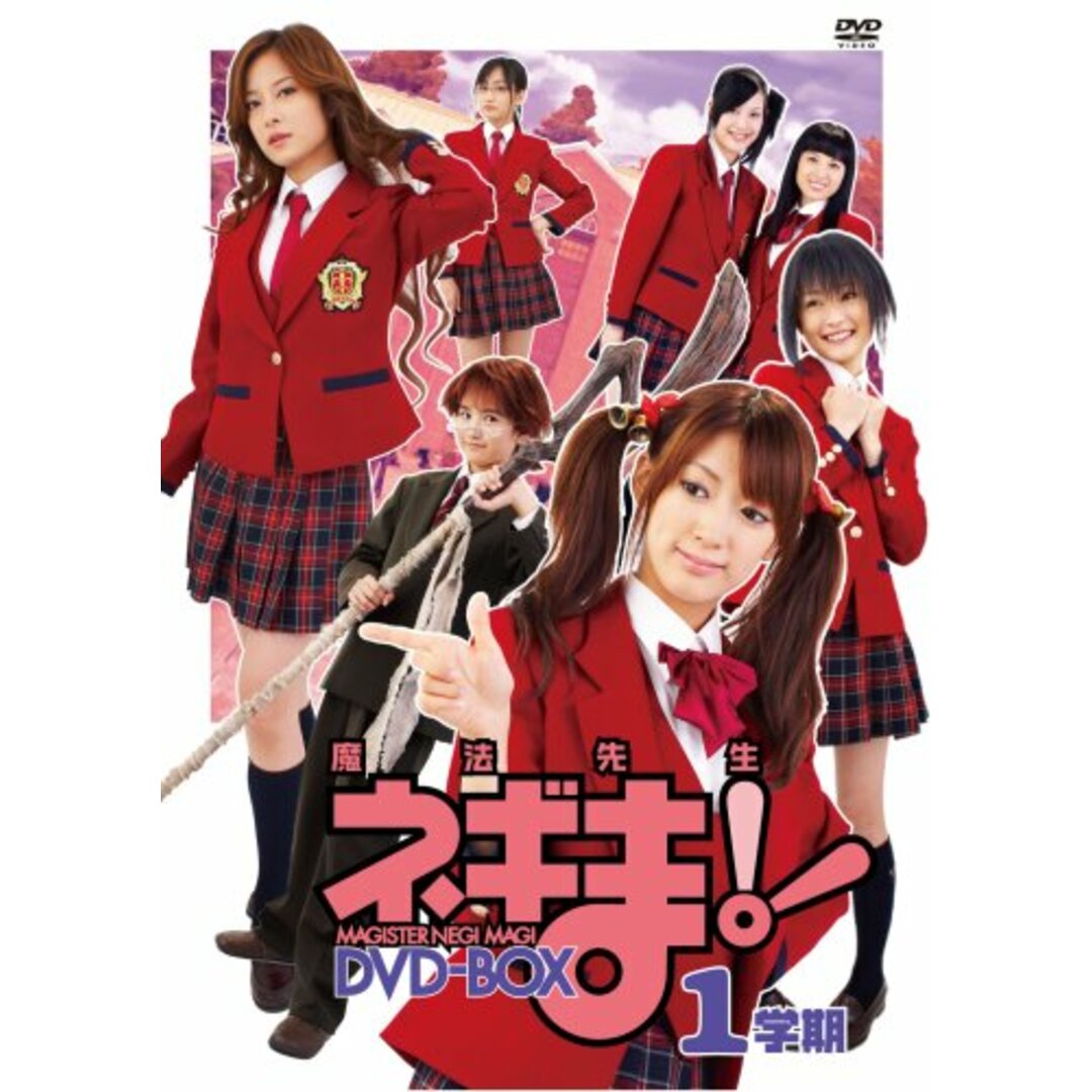 TVドラマ魔法先生ネギま!DVD-BOX 1学期/金田龍