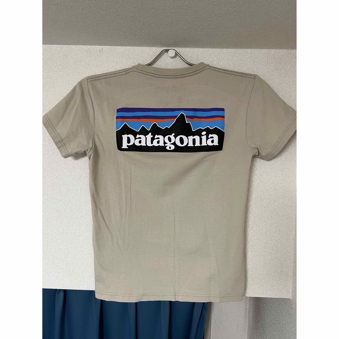 patagonia(パタゴニア)の☆ patagonia パタゴニア Tシャツ メンズのトップス(Tシャツ/カットソー(半袖/袖なし))の商品写真