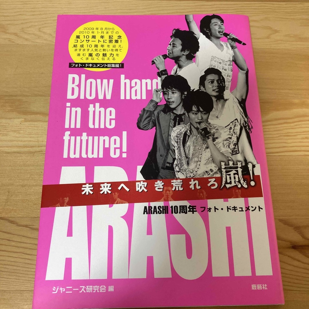 嵐(アラシ)の未来へ吹き荒れろ嵐！ARASHI10周年フォト・ドキュメント エンタメ/ホビーの本(アート/エンタメ)の商品写真