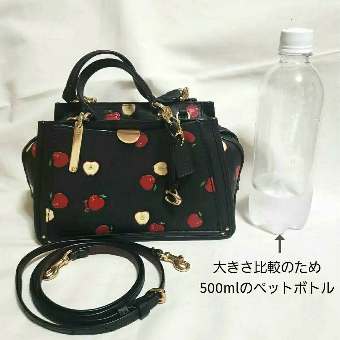 COACH - COACH ドリーマー21 アップルプリント (BLACK) ☆ 極美品の