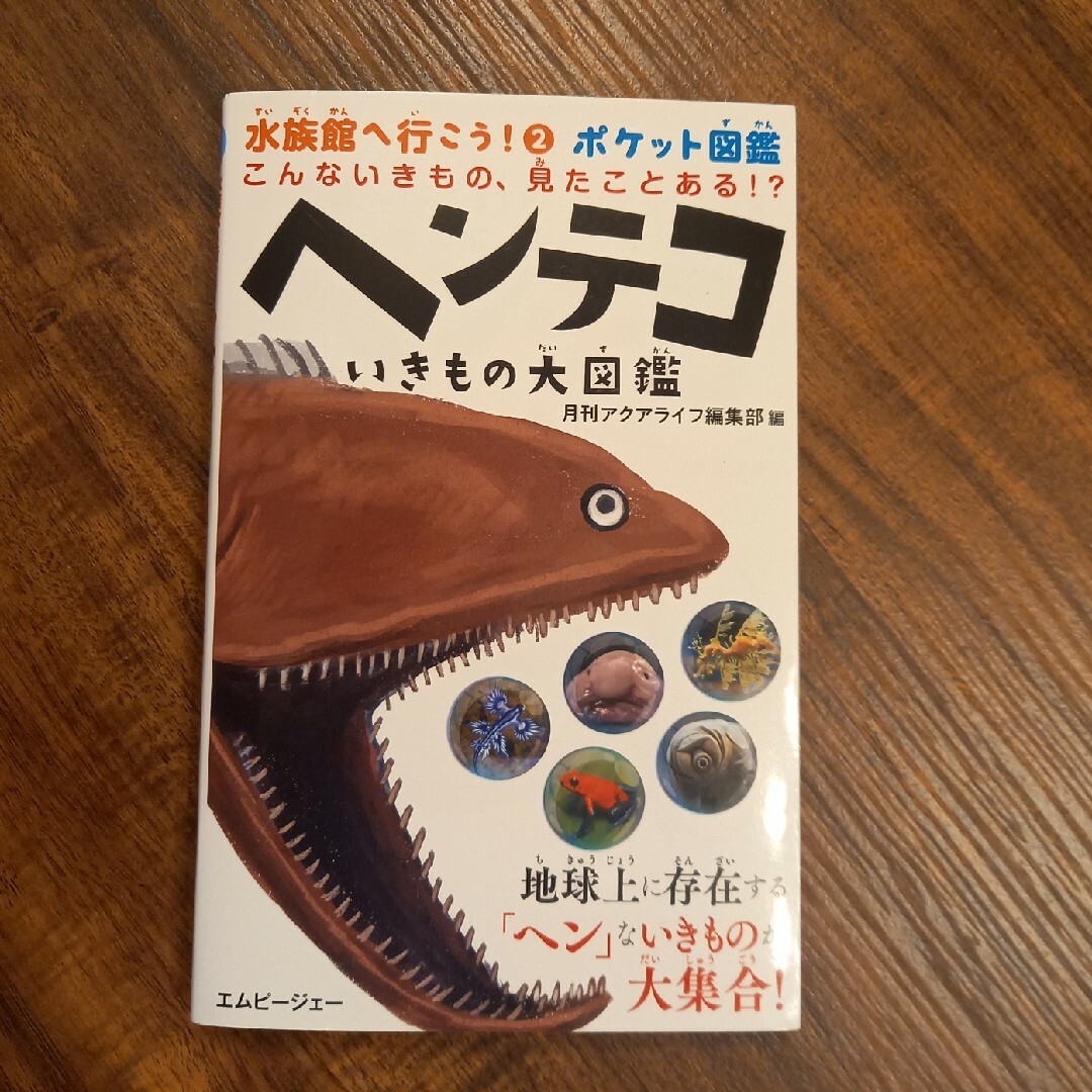 こんないきもの、見たことある！？ヘンテコいきもの大図鑑 ポケット図鑑 エンタメ/ホビーの本(絵本/児童書)の商品写真