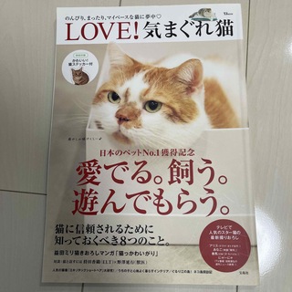 ＬＯＶＥ！気まぐれ猫(住まい/暮らし/子育て)