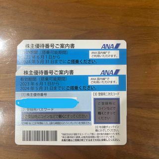 エーエヌエー(ゼンニッポンクウユ)(ANA(全日本空輸))のANA 全日空　株主優待券(航空券)