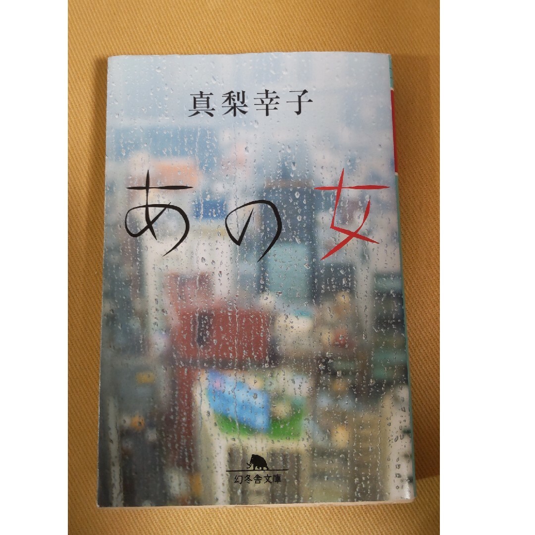 2冊セット　聖女か悪女•あの女 エンタメ/ホビーの本(その他)の商品写真