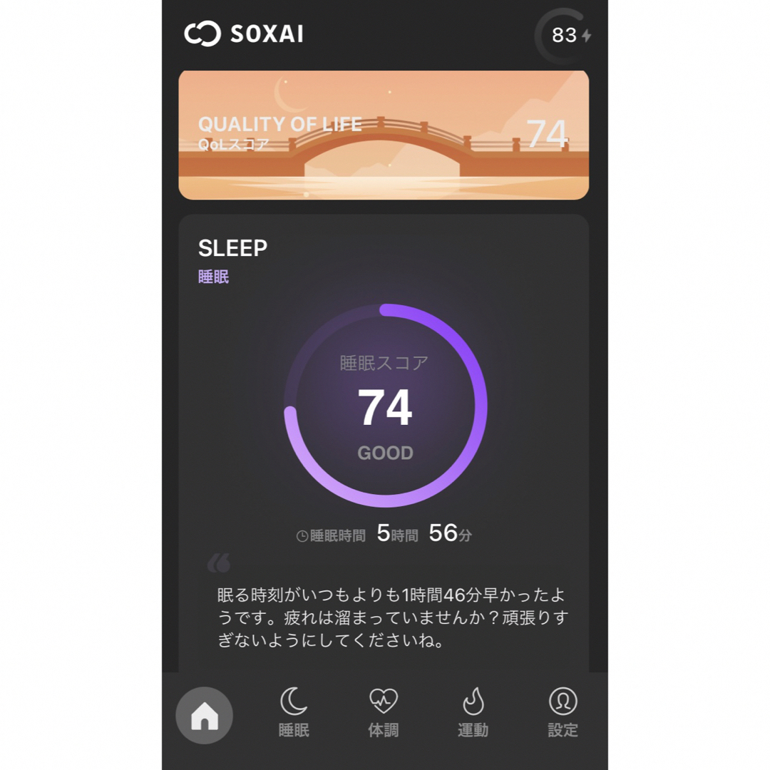 SOXAI RING 24号 マットシルバー サイジングキット付 ソクサイリング