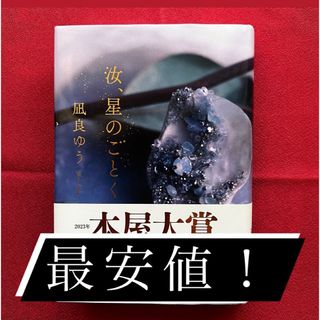 汝、星のごとく(文学/小説)