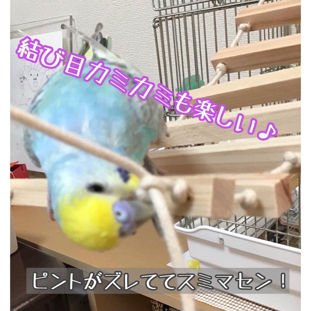 ひのきのゆらゆらつりばし★インコや文鳥の小鳥のハンドメイドおもちゃ　止まり木 ハンドメイドのペット(おもちゃ/ペット小物)の商品写真