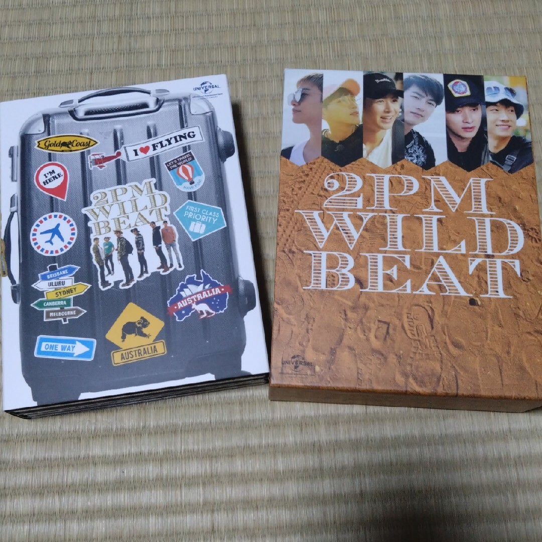 2PM WILD BEAT　DVD