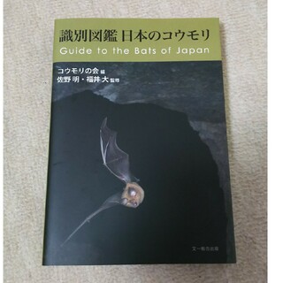 識別図鑑　日本のコウモリ(科学/技術)