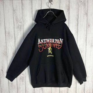 VETEMENTS ヴェトモン ANTWERPEN パーカー プルオーバー L