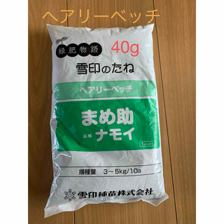 ヘアリーベッチ　種子　40g(その他)