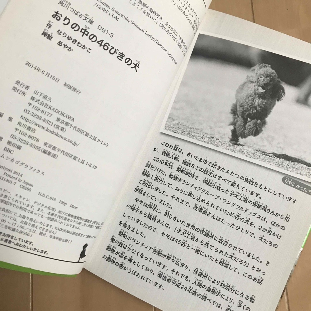 角川書店(カドカワショテン)のおりの中の４６ぴきの犬 エンタメ/ホビーの本(文学/小説)の商品写真