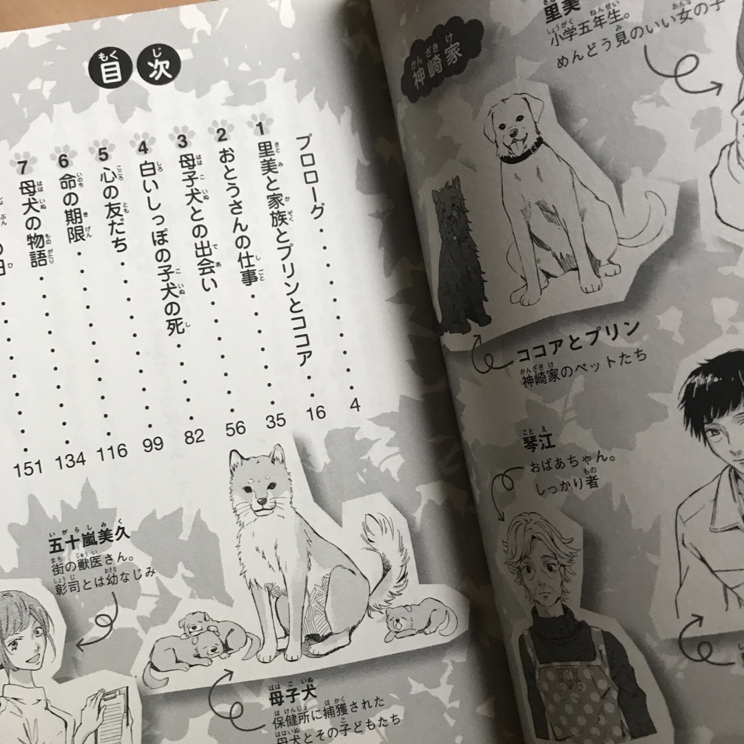 集英社(シュウエイシャ)のひまわりと子犬の７日間 みらい文庫版 エンタメ/ホビーの本(絵本/児童書)の商品写真