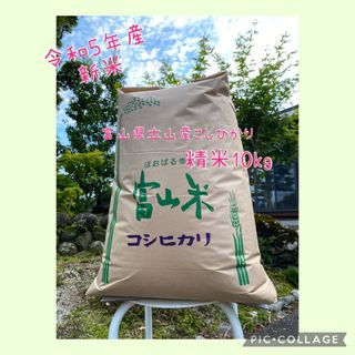 令和5年産　新米　富山県立山産こしひかり　精米10kg(米/穀物)