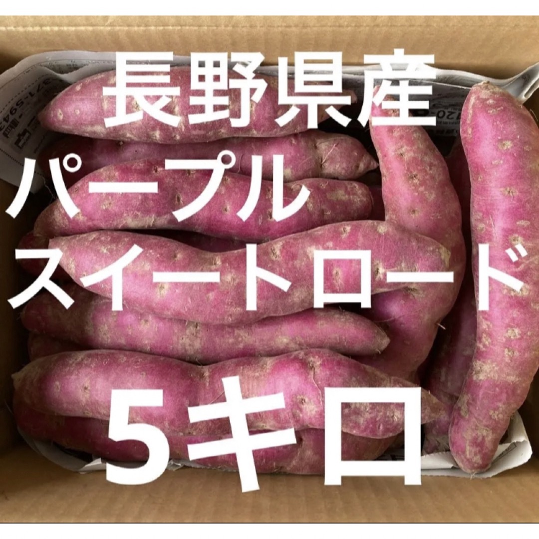 長野県産　パープルスイートロード　5キロ 食品/飲料/酒の食品(野菜)の商品写真