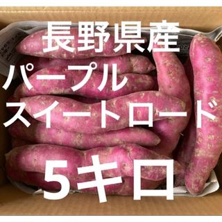 長野県産　パープルスイートロード　5キロ(野菜)