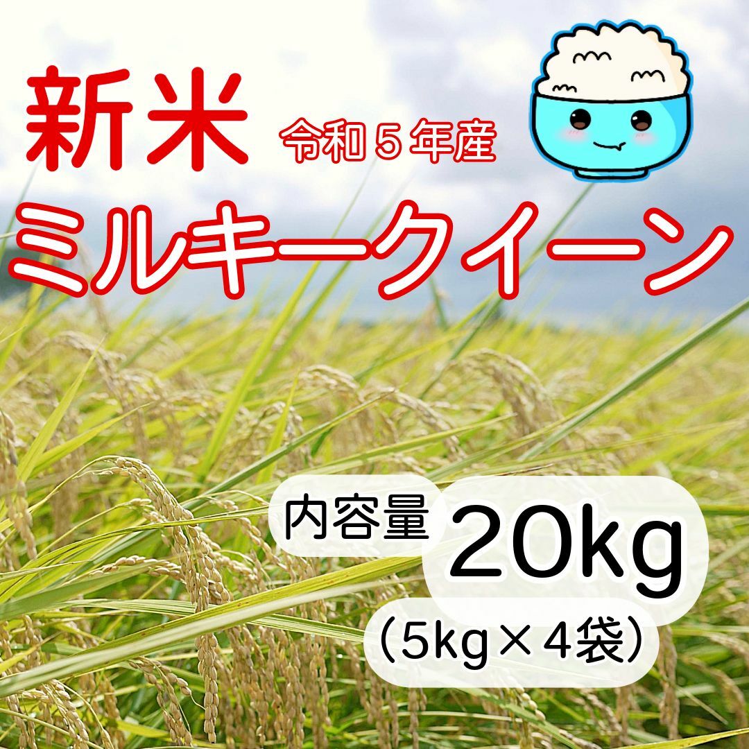 【地元の銘柄米応援中!】「とちぎの星」白米 20kg 無洗米も対応!