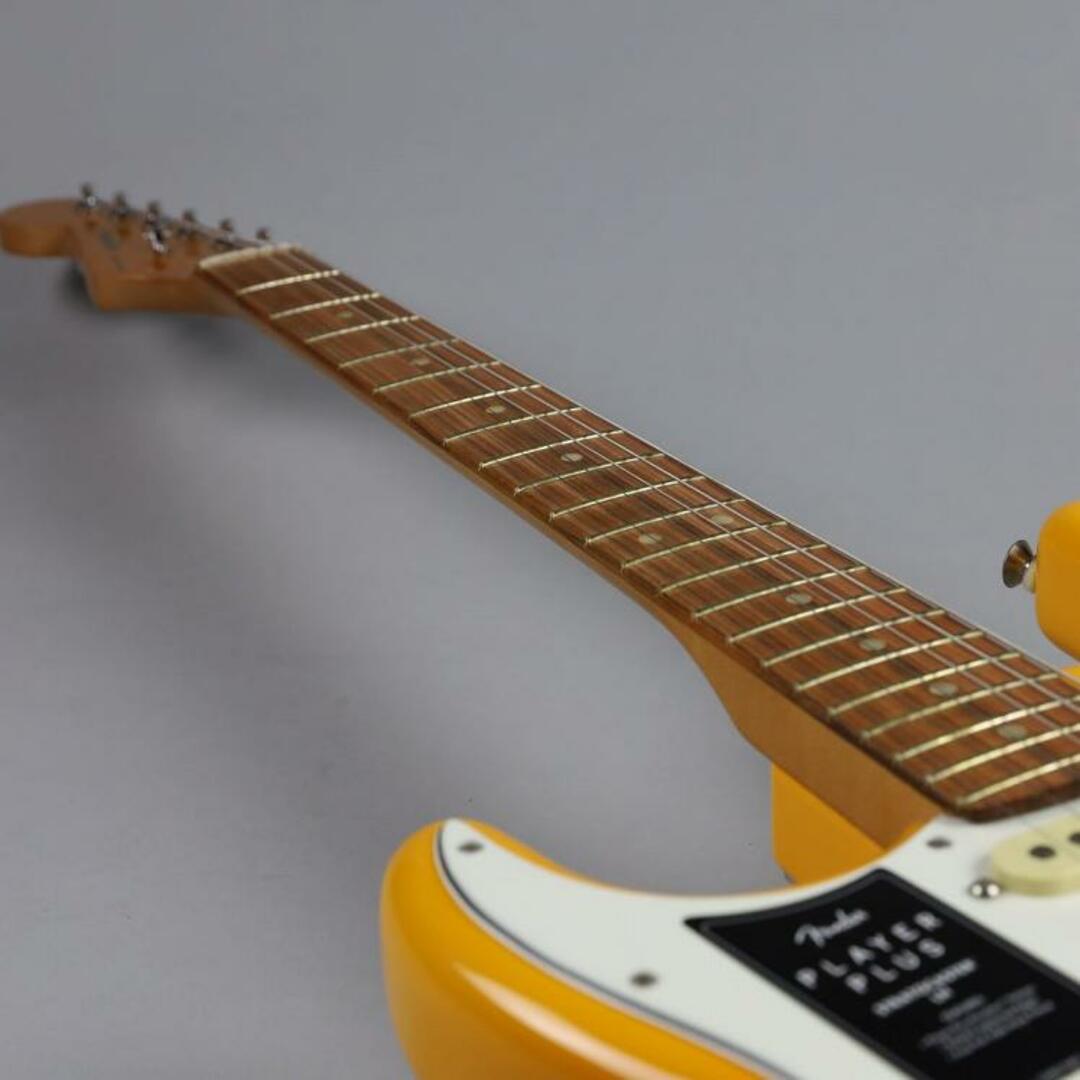 Fender（フェンダー）/PLAYER PLUS ST LH PF 【USED】エレクトリックギターSTタイプ【沖縄・浦添 パルコシティ店】