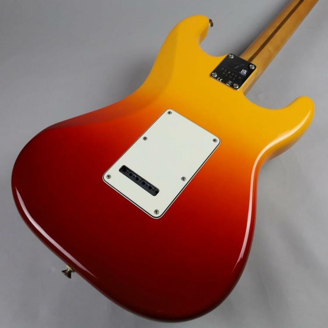 Fender（フェンダー）/PLAYER PLUS ST LH PF 【USED】エレクトリックギターSTタイプ【沖縄・浦添 パルコシティ店】