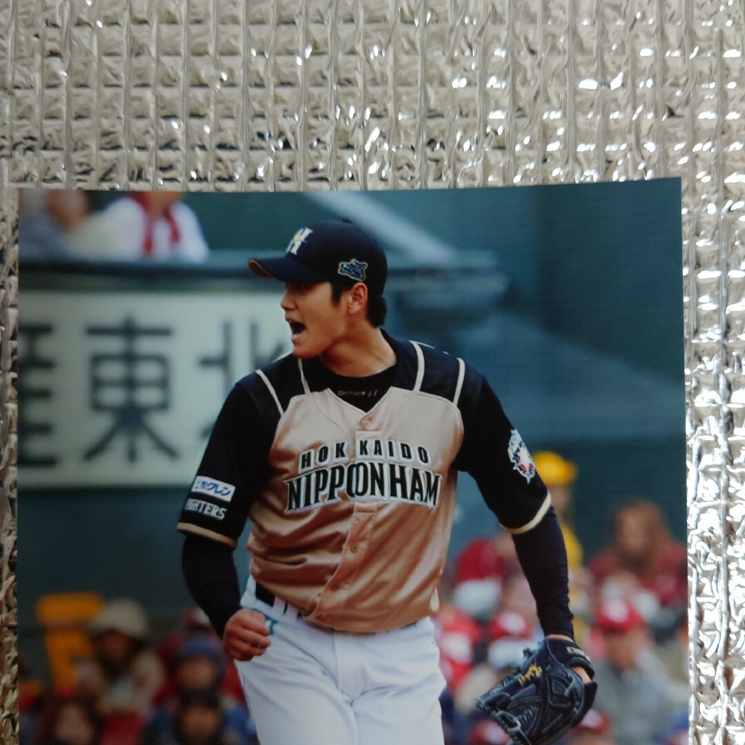 日ハム大谷翔平 2013 ハイライトフォト No.334 日本ハム 球団公式写真