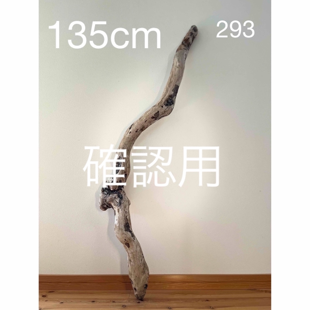 特大 流木【293】 - 置物