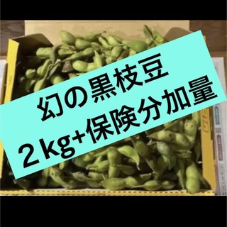 幻の黒枝豆　本場　丹波篠山産　黒枝豆　２kg+保険分加量(野菜)