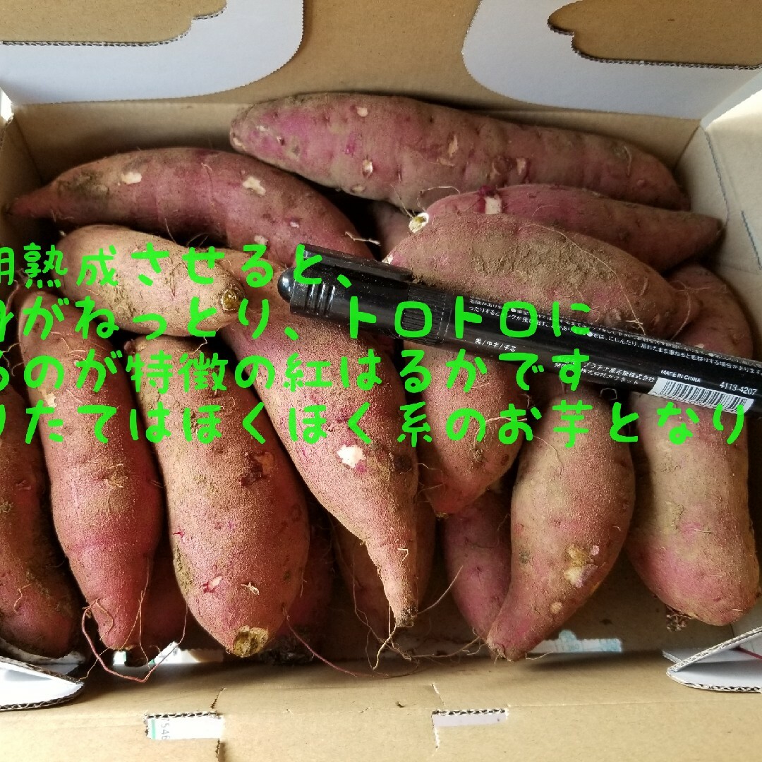 新物初物正規品Sサイズ10㌔重量おまけ付R5年紅はるか土付茨城県減農薬栽培