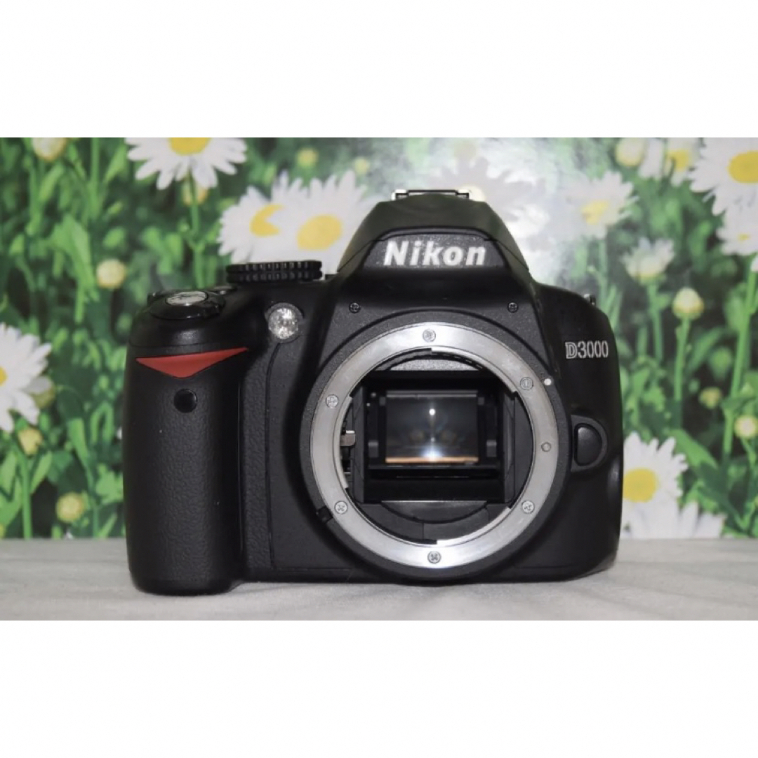 Nikon   Nikon ニコン D一眼レフダブルレンズ初心者