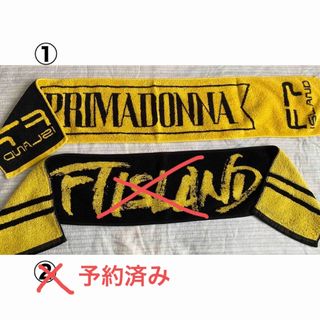 エフティーアイランド(FTISLAND)のFTISLAND スローガンタオル(アイドルグッズ)