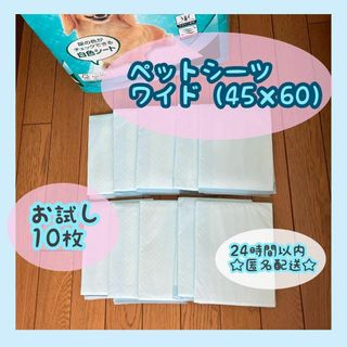 ペットシーツ　お試し10枚　ワイド（45×60）(犬)