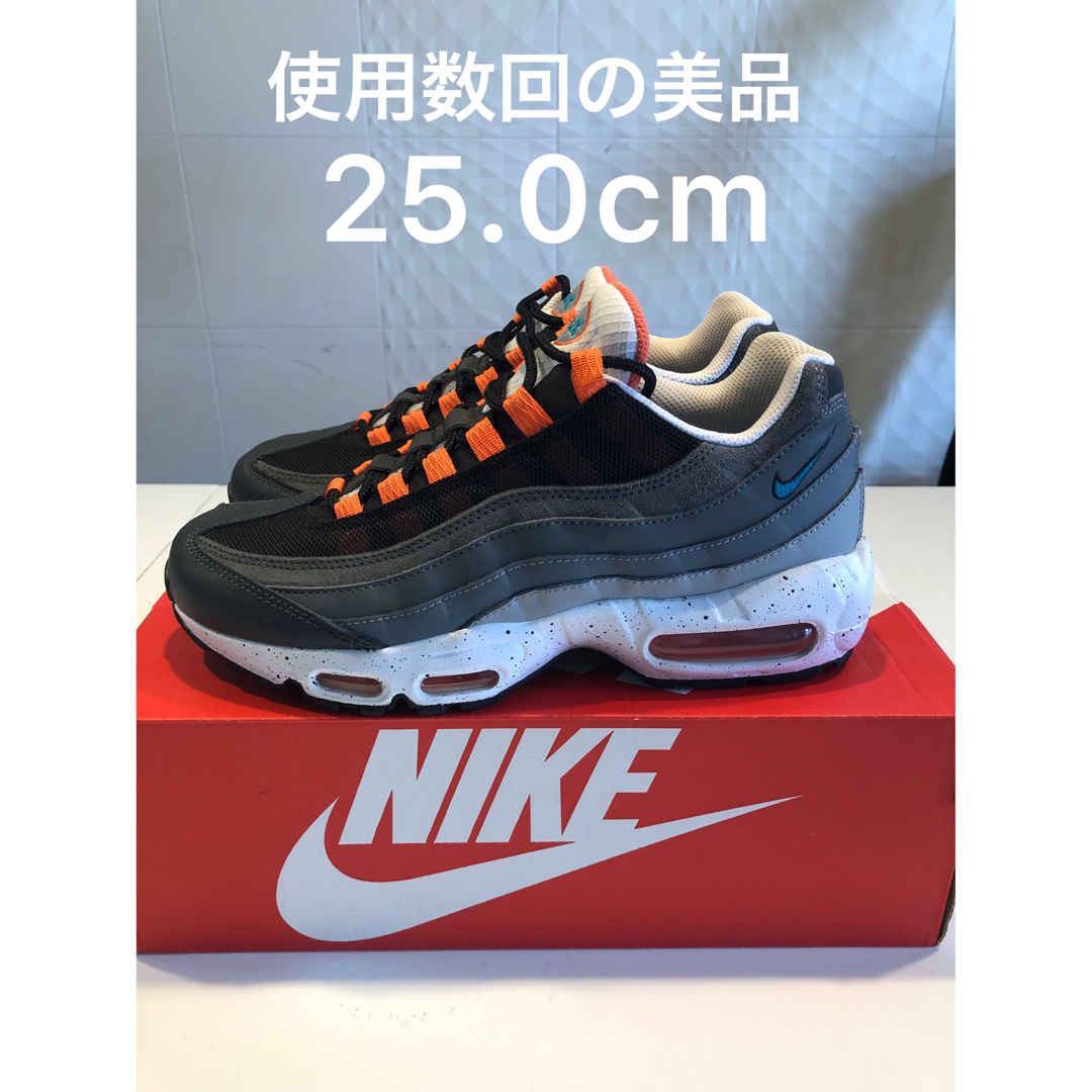 【極美品25.0cm】NIKE AIR MAX95