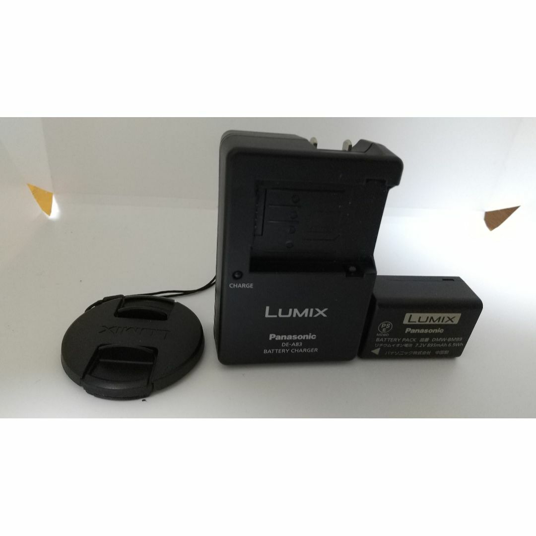 LUMIX  Panasonic FZ100【ライカ神レンズ搭載】