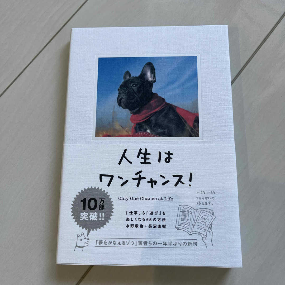 人生はワンチャンス！ 「仕事」も「遊び」も楽しくなる６５の方法 エンタメ/ホビーの本(その他)の商品写真