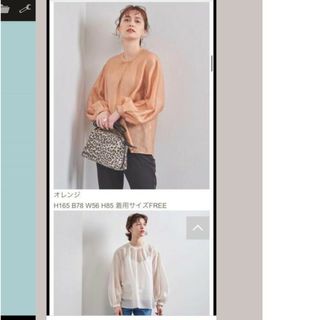 ユナイテッドアローズ(UNITED ARROWS)の美品　ユナイテッドアローズ　☆　シアー　ブラウス(シャツ/ブラウス(長袖/七分))