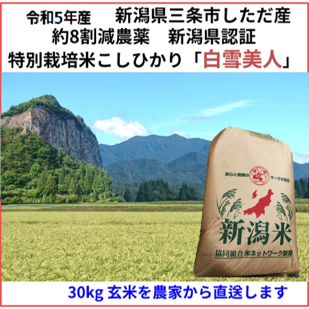 新潟こしひかり玄米30kg　令和5年新米　特栽米本物　米/穀物　減農薬　三条市旧しただ村産