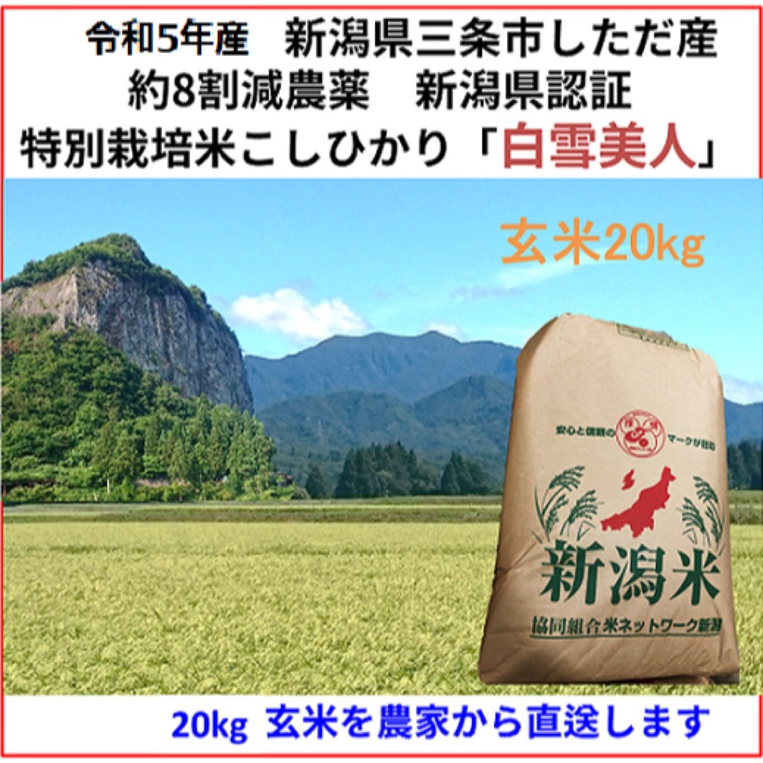 21 20kg 令和5年産、新米新潟県産コシヒカリ うのにもお得な - 米