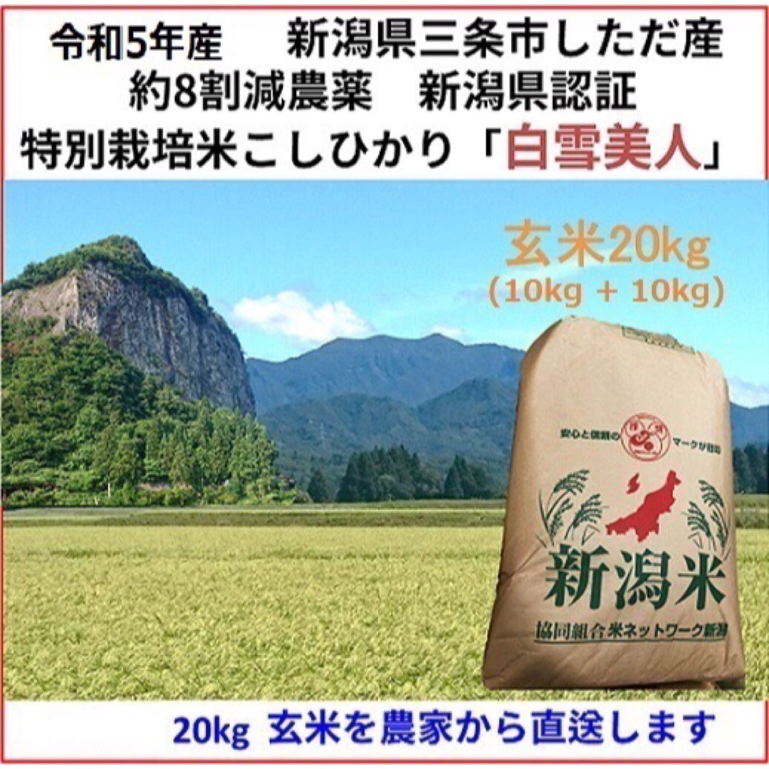 新潟こしひかり玄米10kg+10kg　三条市旧しただ村産　減農薬　令和5年新米　米/穀物