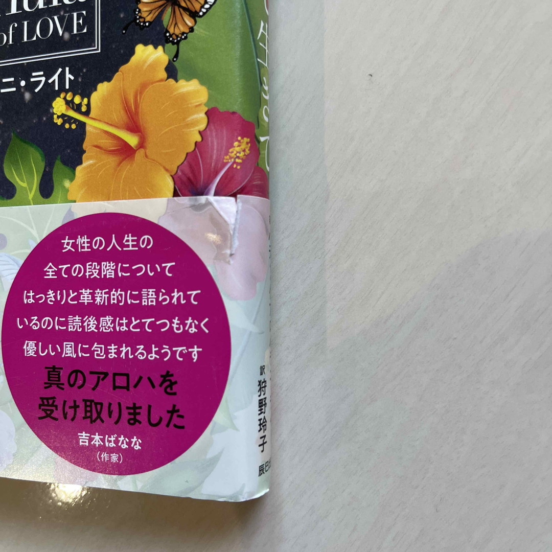 ウソのないあなたで生きて ハワイの８５歳クム・フラ愛の言葉 エンタメ/ホビーの本(住まい/暮らし/子育て)の商品写真