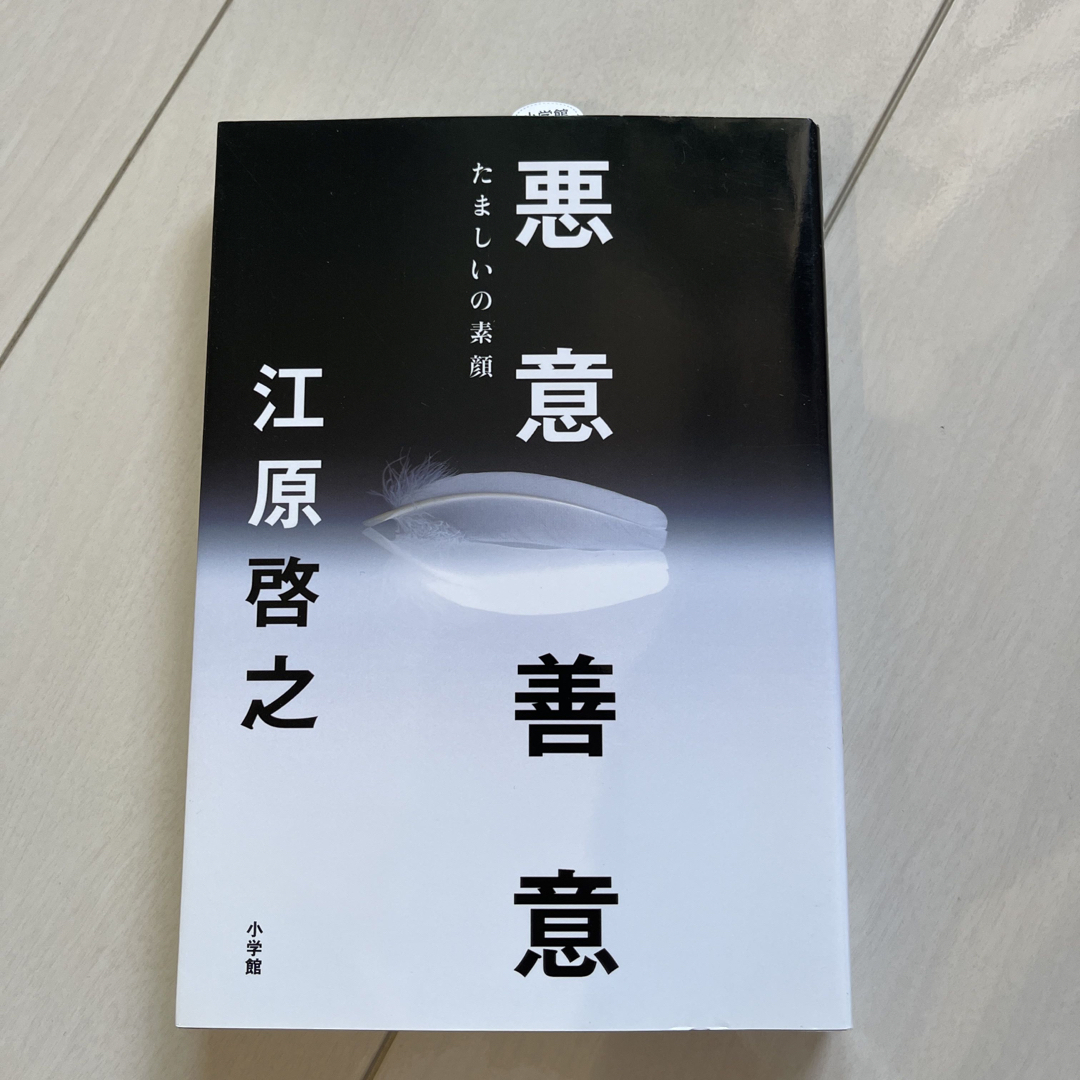 悪意／善意 たましいの素顔 エンタメ/ホビーの本(住まい/暮らし/子育て)の商品写真