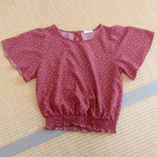 コルザ(COLZA)のCOLZA　カットソー　レディース(カットソー(半袖/袖なし))