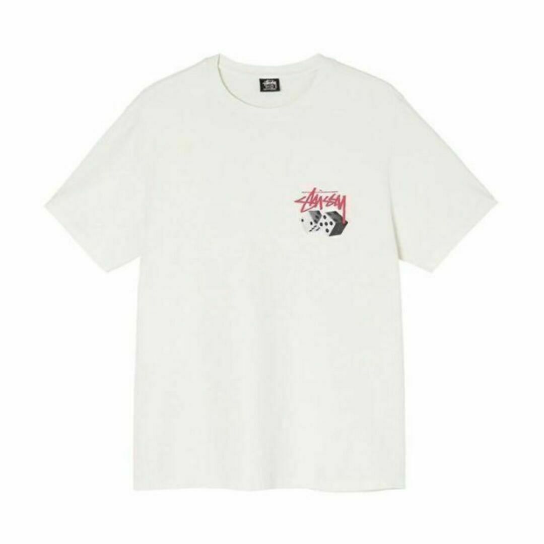 LANDIN TEE stussyTシャツ サイズXL Stussy23ss