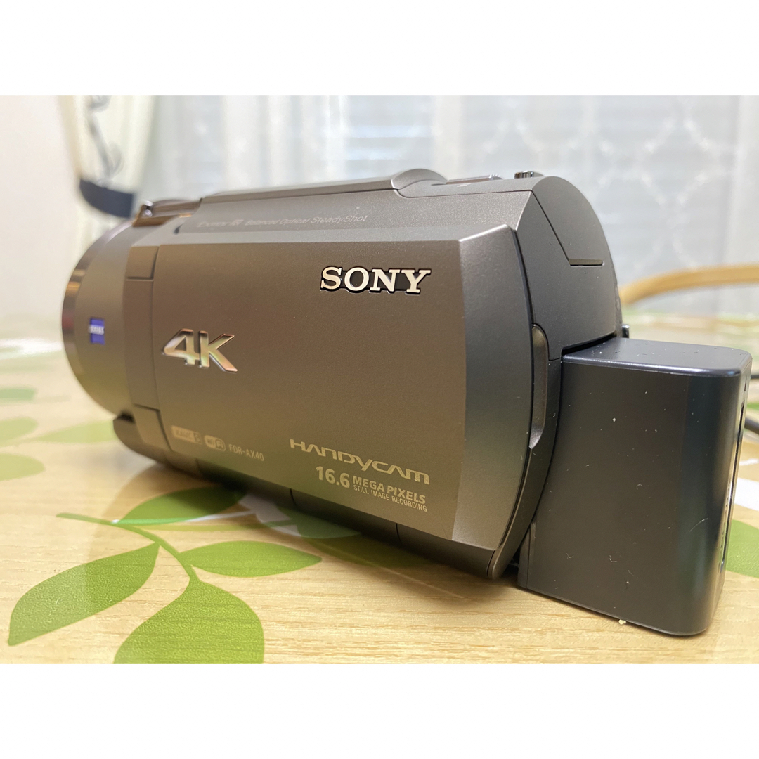HDMI端子Sony HANDYCAM 4K対応　バッテリー2個　専用HDMI端子　ポーチ付