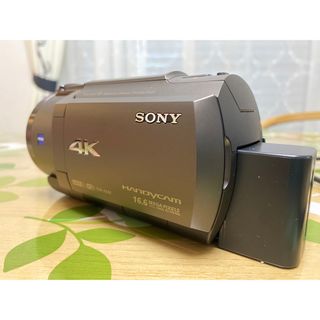 ソニー(SONY)のSony HANDYCAM 4K対応　バッテリー2個　専用HDMI端子　ポーチ付(ビデオカメラ)